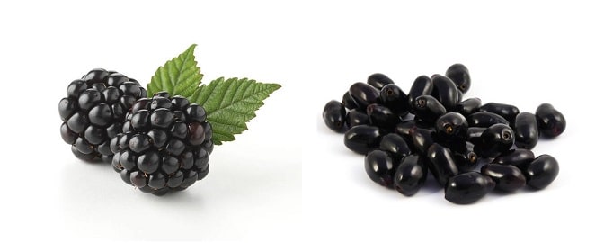 black plum for lower blood sugar