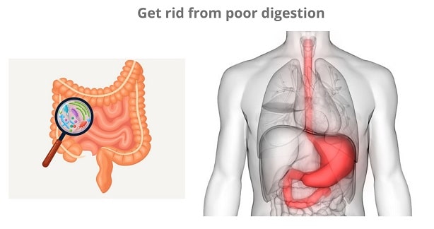 Tips to get rid from poor digestion and gas