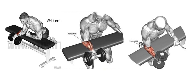 6 best workout to get big forearms at home