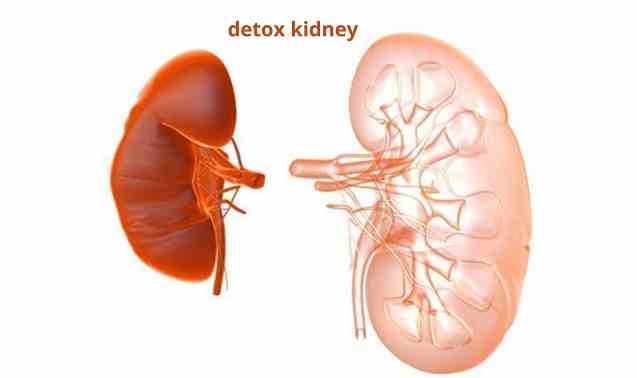 6 tips to detox your kidney at home