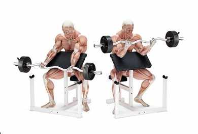 Preacher Curl
