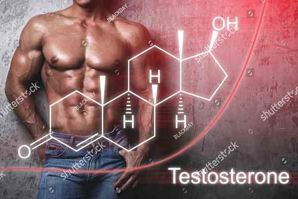 testosterone booster useful for muscle gain