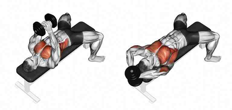 Pull-Over Dumbbell