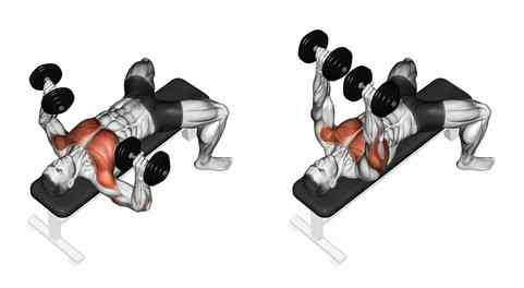 10 Best chest exercises make bigger in the gym