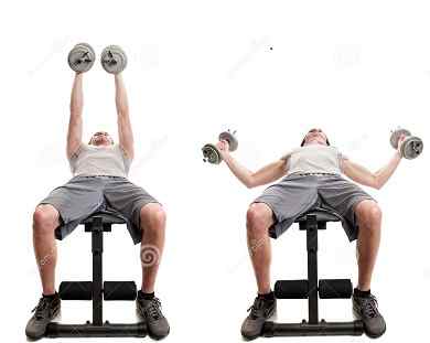 Best chest exercises make bigger in the gym