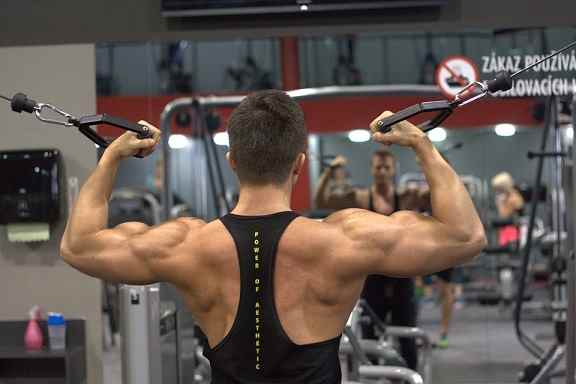 5 best exercise for strong back