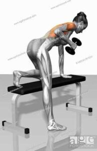 5 best exercise for strong back