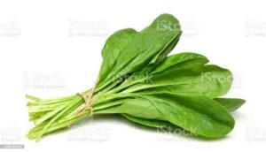 spinach food for fat burning and lose belly fat
