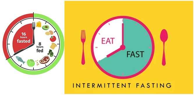 Effective intermittent fasting for quick weight loss 16/8
