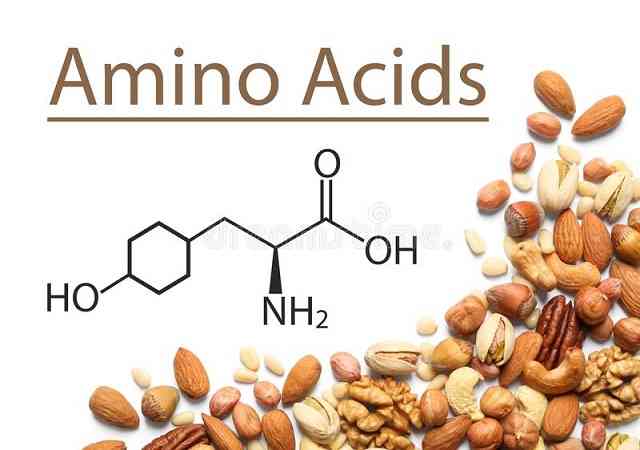 Source of Amino acids- Symptoms, benefits
