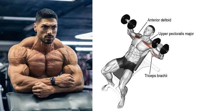 8 Amazing Exercises to Force up your Chest Growth