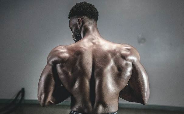 Effective back Workout for beginners