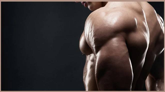 8 Reasons Your Shoulders Are NOT Growing