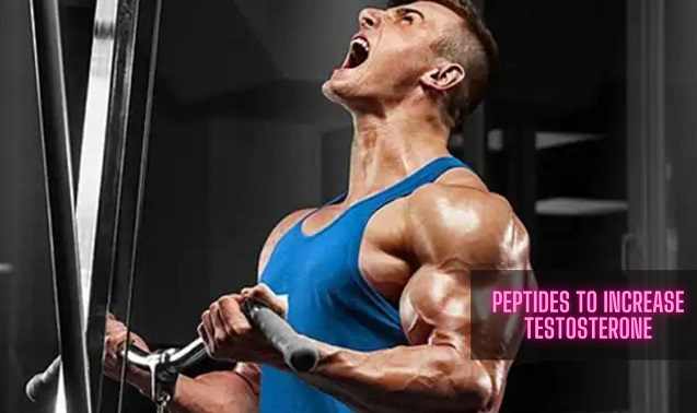 Best Peptides To Help Increase Testosterone