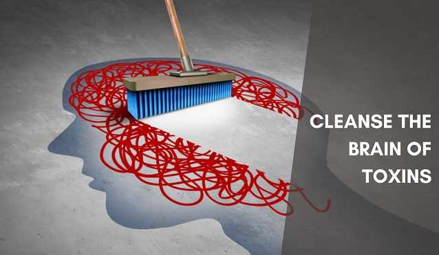 How to cleanse the brain of toxins