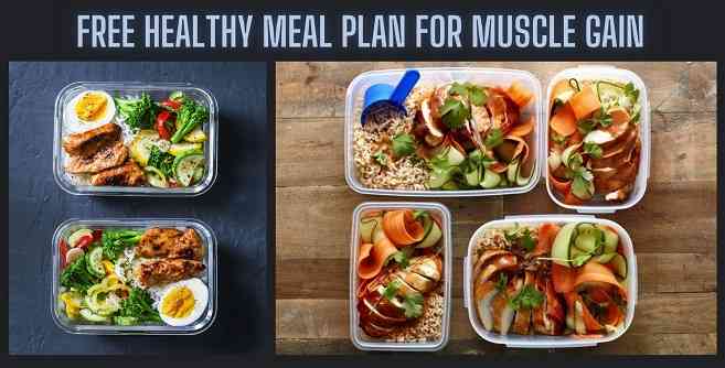 Free healthy meal plan for muscle gain